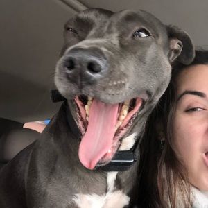 Meet your Posher, Kellie